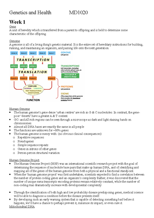 Male Reproductive Hormones Summary Table - Hormone Features Function ...