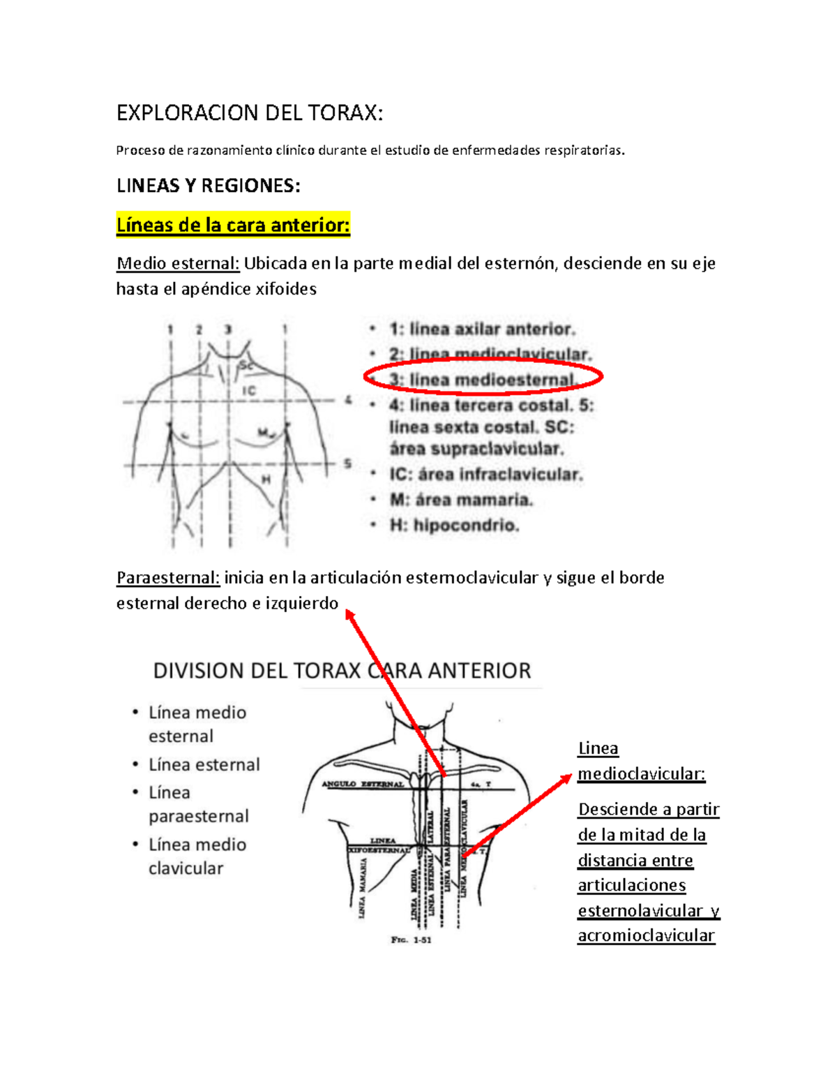 Torax Oficial - EXPLORACION DEL TORAX: Proceso de razonamiento clínico ...