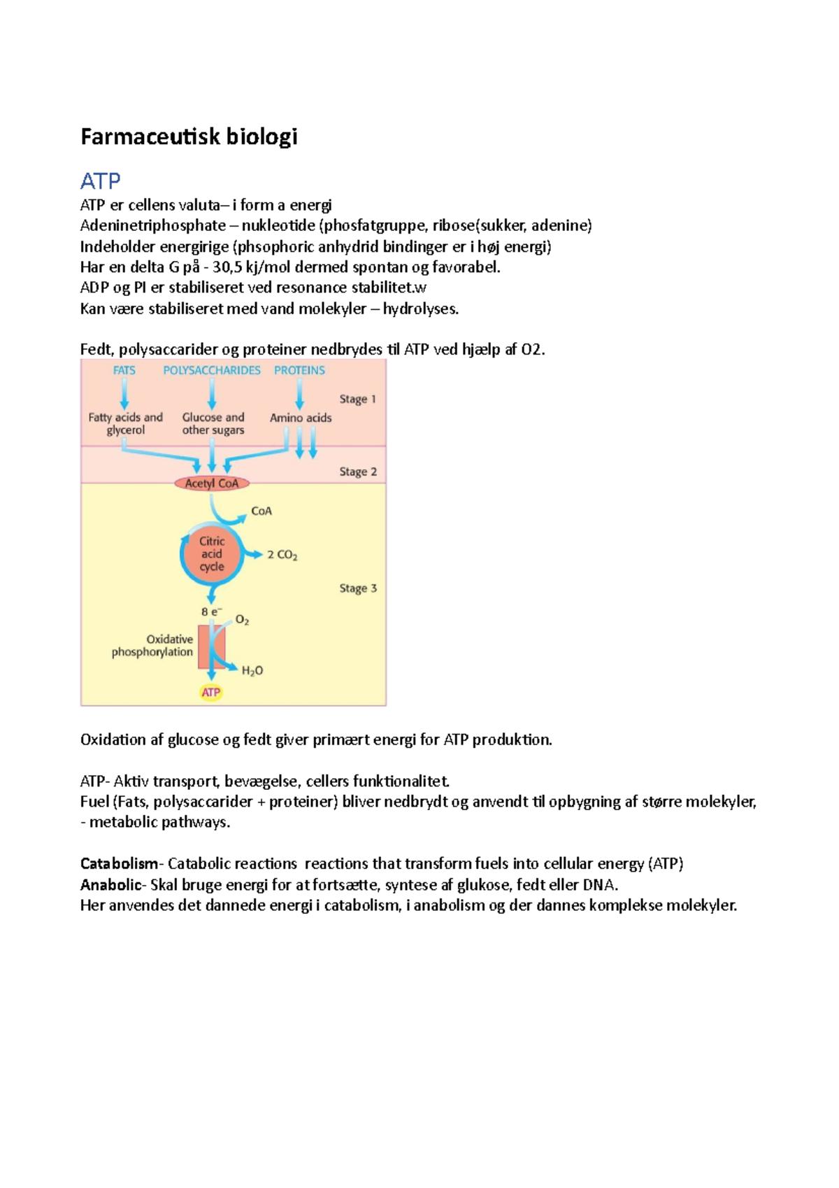 Farmaceutisk Biologi - Farmaceutisk Biologi ATP ATP Er Cellens Valuta ...