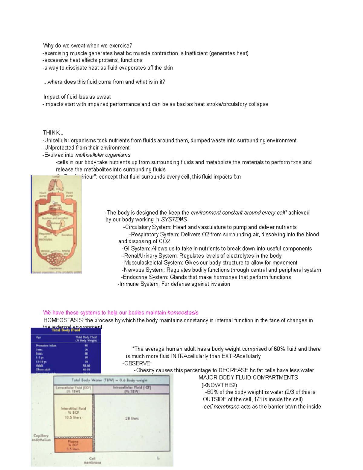 Body Fluid Compartments Why do we sweat when we exercise? exercising