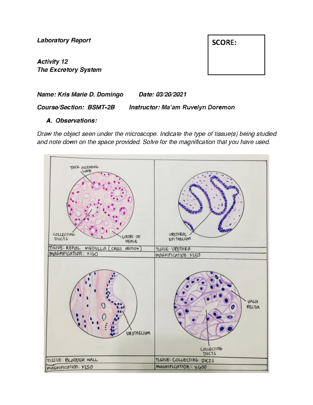 Domingo A12,13 HISTOLOGY LAB REPORT Laboratory Report Activity 12