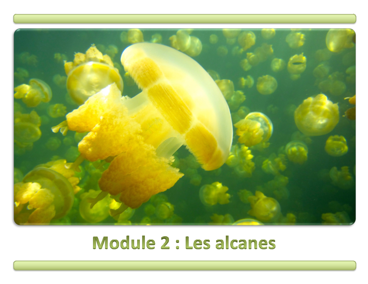 Module 2 - Les Alcanes - COURS - Excellent! Veuillez Construire Les ...