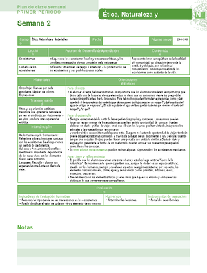 Planeacion Estrategica - NOMBRE DEL ALUMNO: VANESSA YAMILETH ZARDONI ...