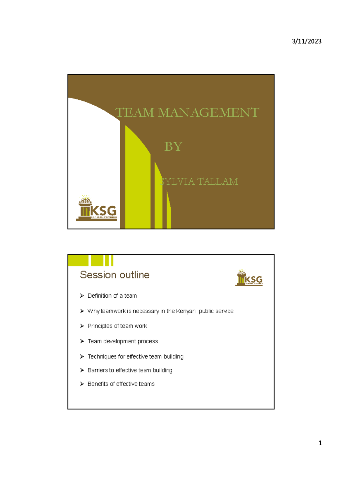 SMC TEAM Management Notes - TEAM MANAGEMENT BY SYLVIA TALLAM Session ...