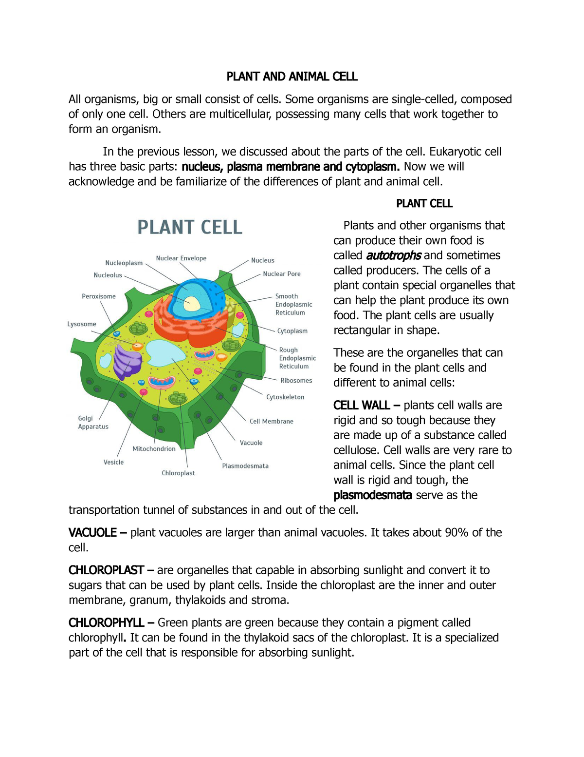 Plant and Animal Cell - PLANT AND ANIMAL CELL All organisms, big or small  consist of cells. Some - Studocu