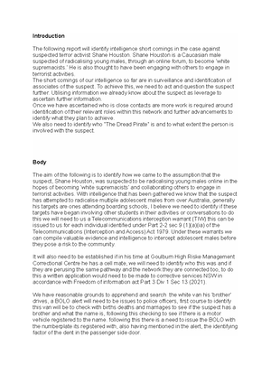 7. Intelligence Report Template - Operation Pink Doughnut Intelligence ...