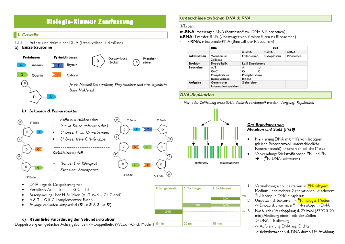 Biologie Klausurzsmfassung Biologie Klausur Zsmfassung Ii Genetik Aufbau Und Strktur Der