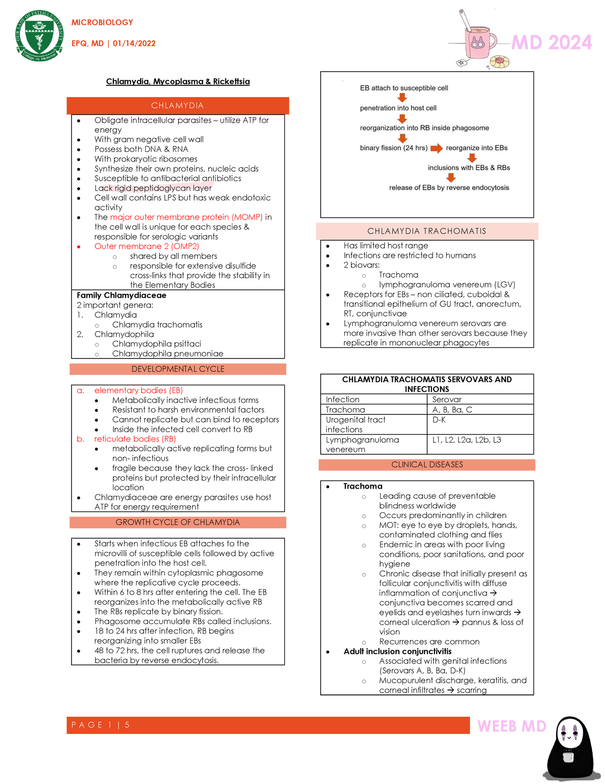 Compilations Of All Bacteria For Finals P A G E 1 5 EPQ MD 01   Thumb 1200 1553 