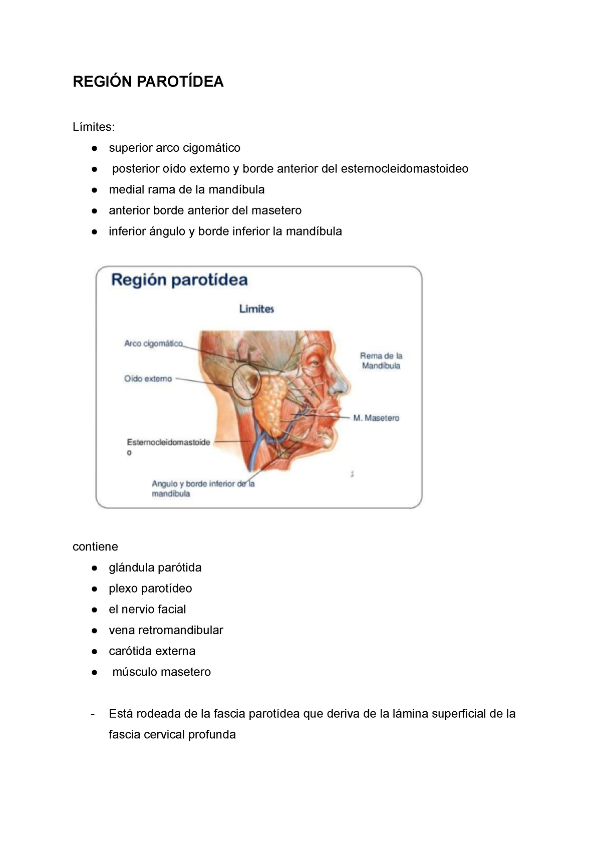 región parotídea