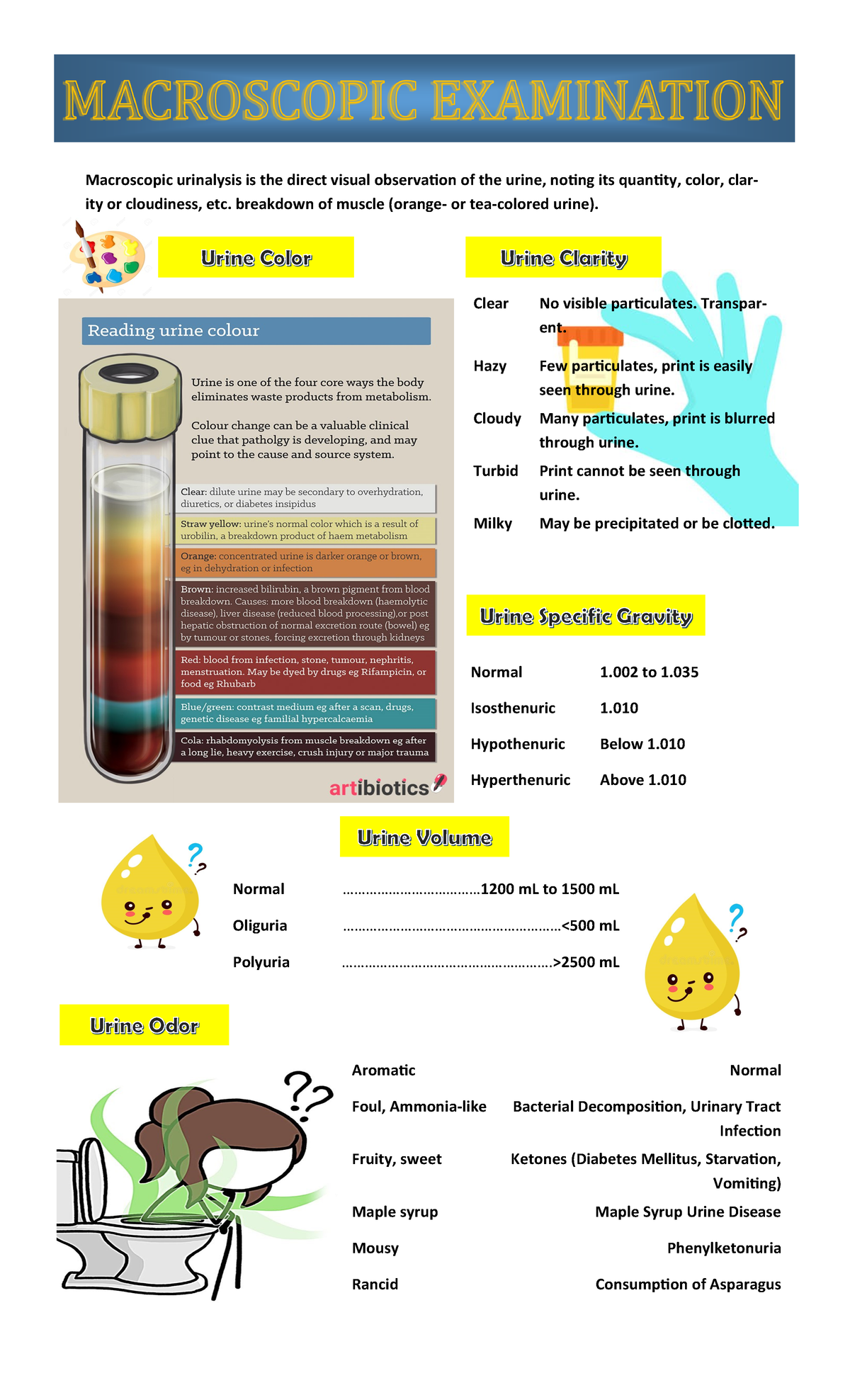 What Is A Normal Stool Test Result