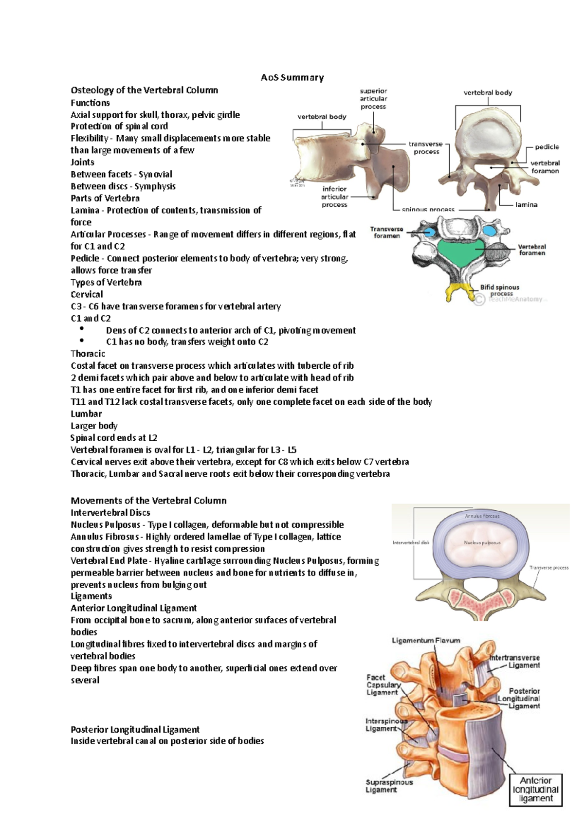 Anatomy of Systems - AoS Summary Osteology of the Vertebral Column ...