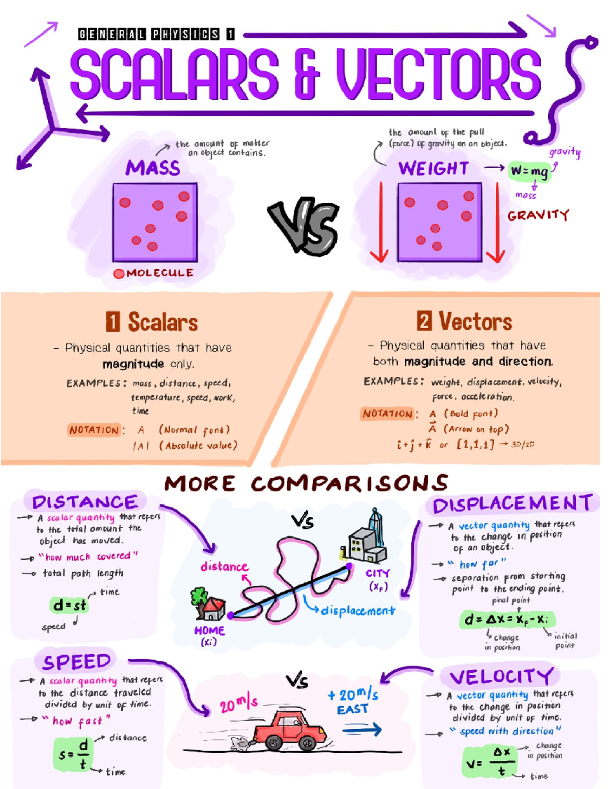 Scalars and vector - Environmental Science - Studocu