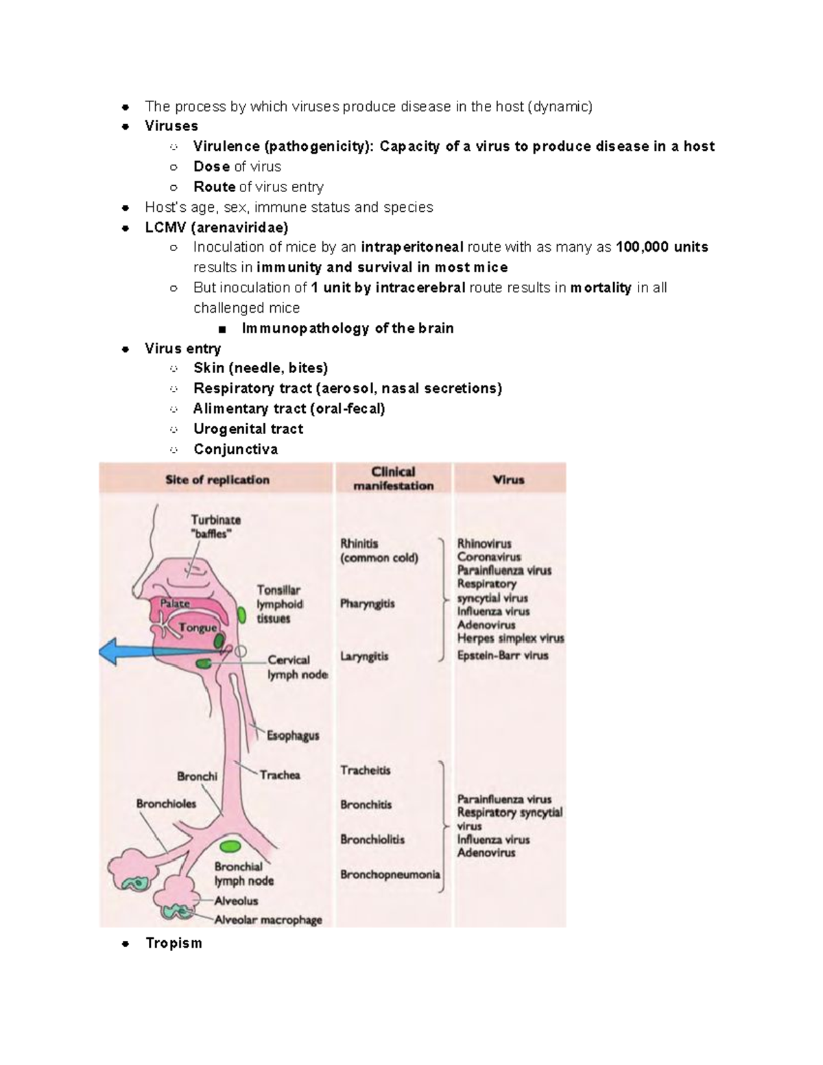 Lecture 31 Viral Pathogenesis - The process by which viruses produce ...
