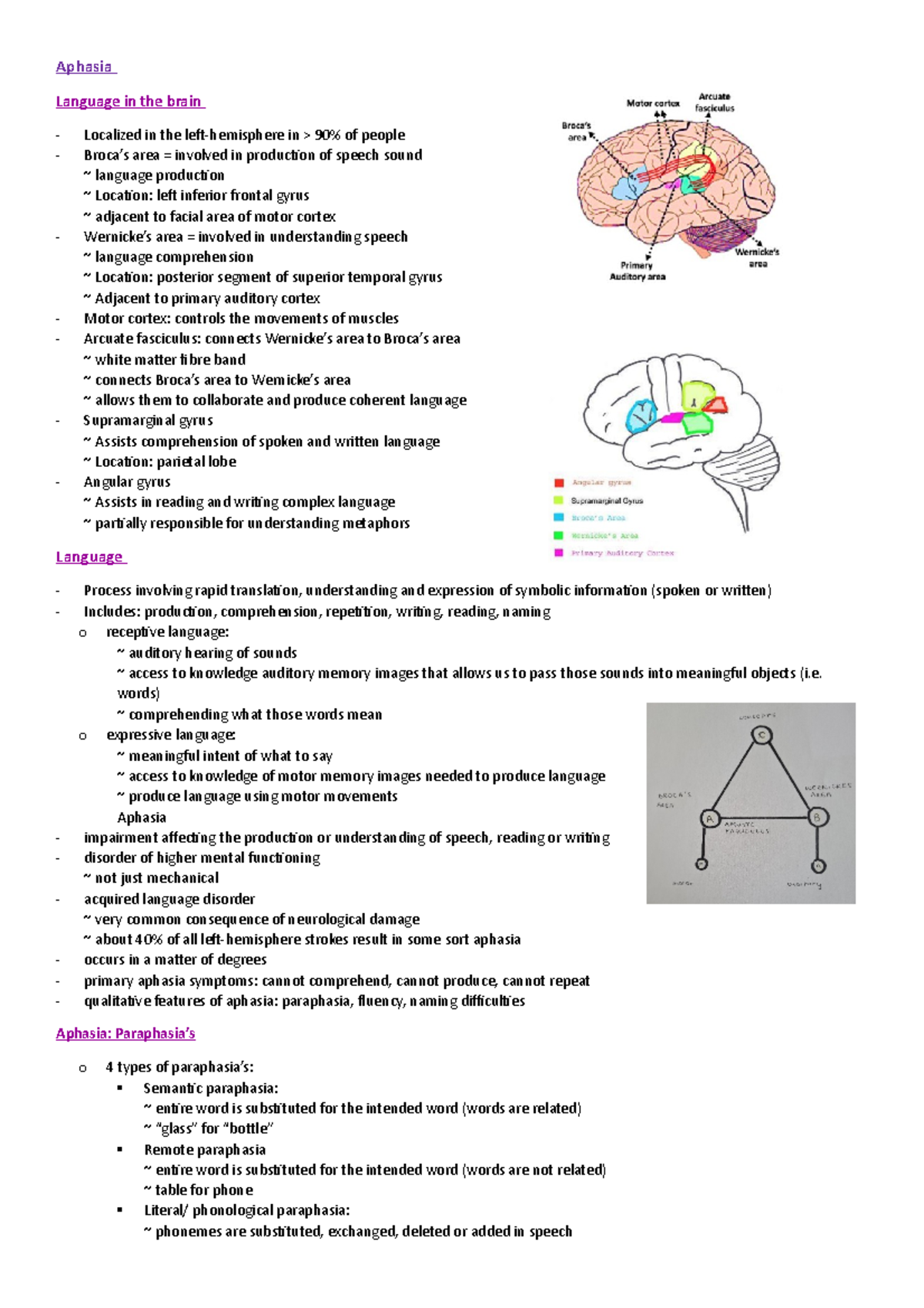 Aphasia - Aphasia Language in the brain Localized in the left ...