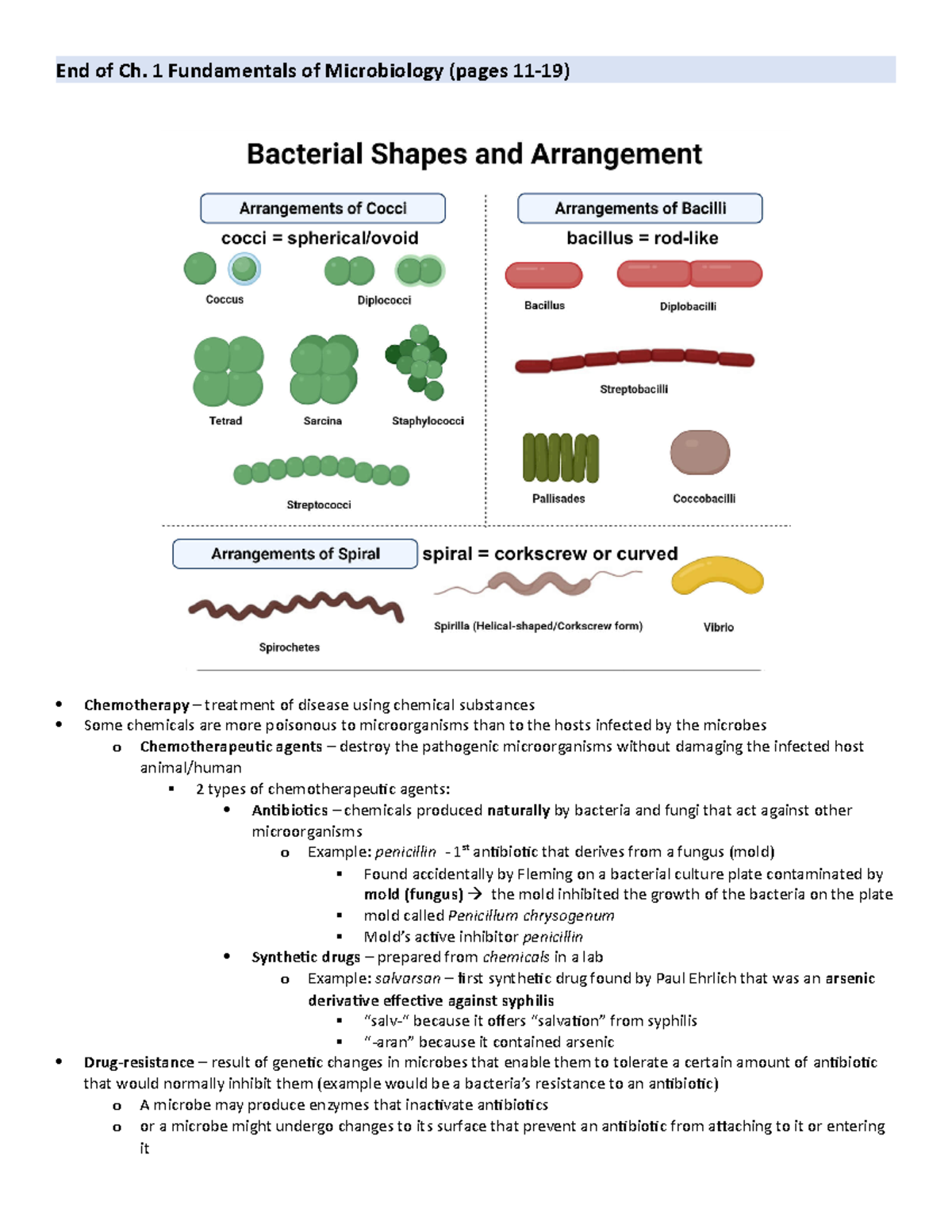End of ch. 1 outline - End of Ch. 1 Fundamentals of Microbiology (pages ...