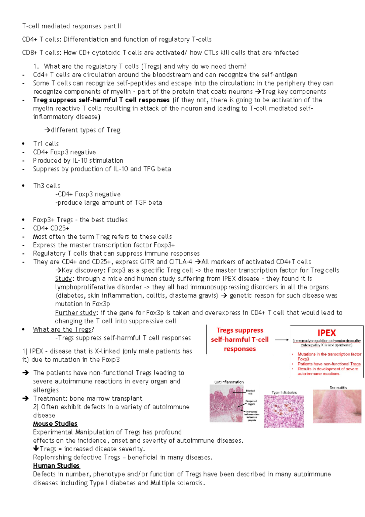 Lecture 9 - CD4+ T cells: Differentiation and function of regulatory T ...
