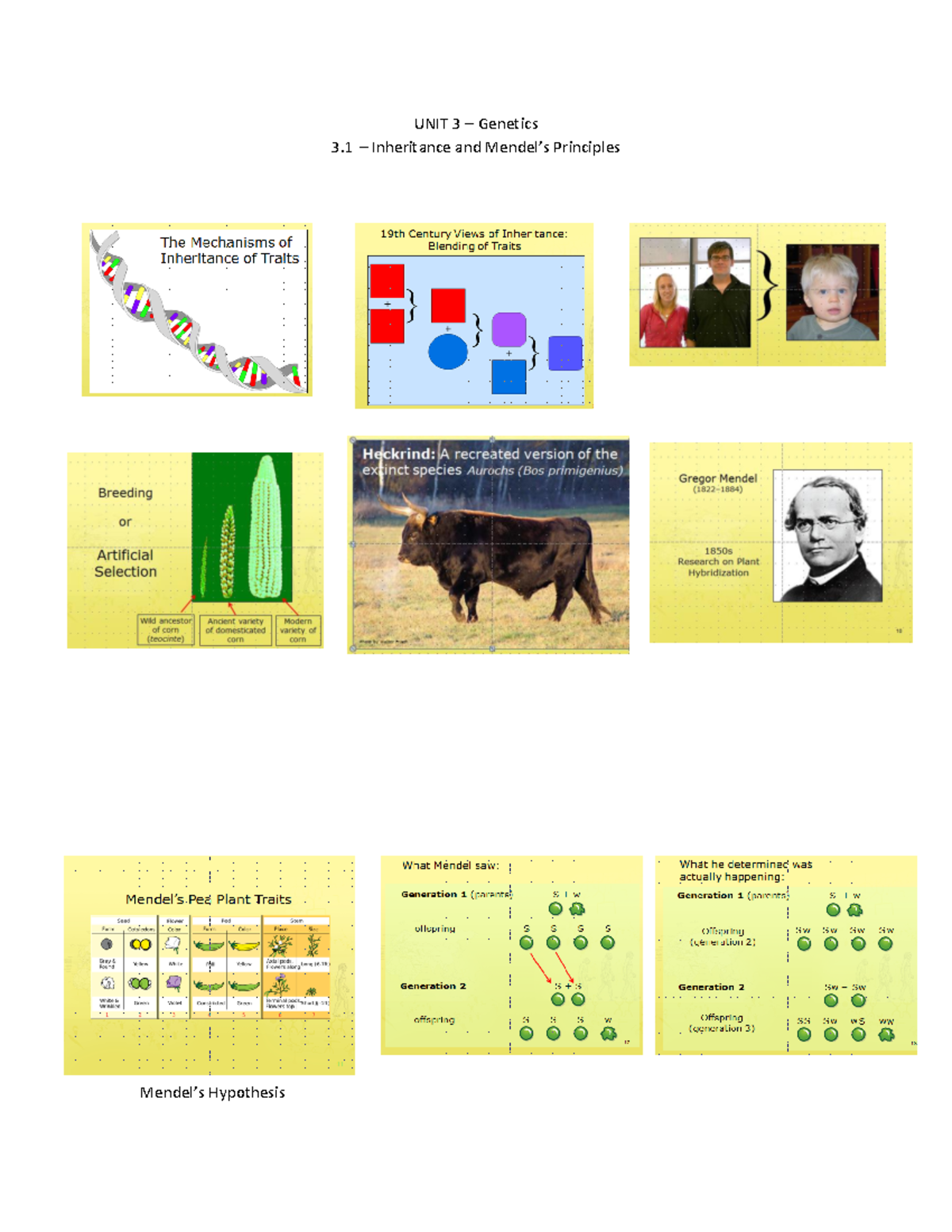 ARCH 131 - Lecture 3 - Genetics - UNIT 3 – Genetics 3 – Inheritance and ...