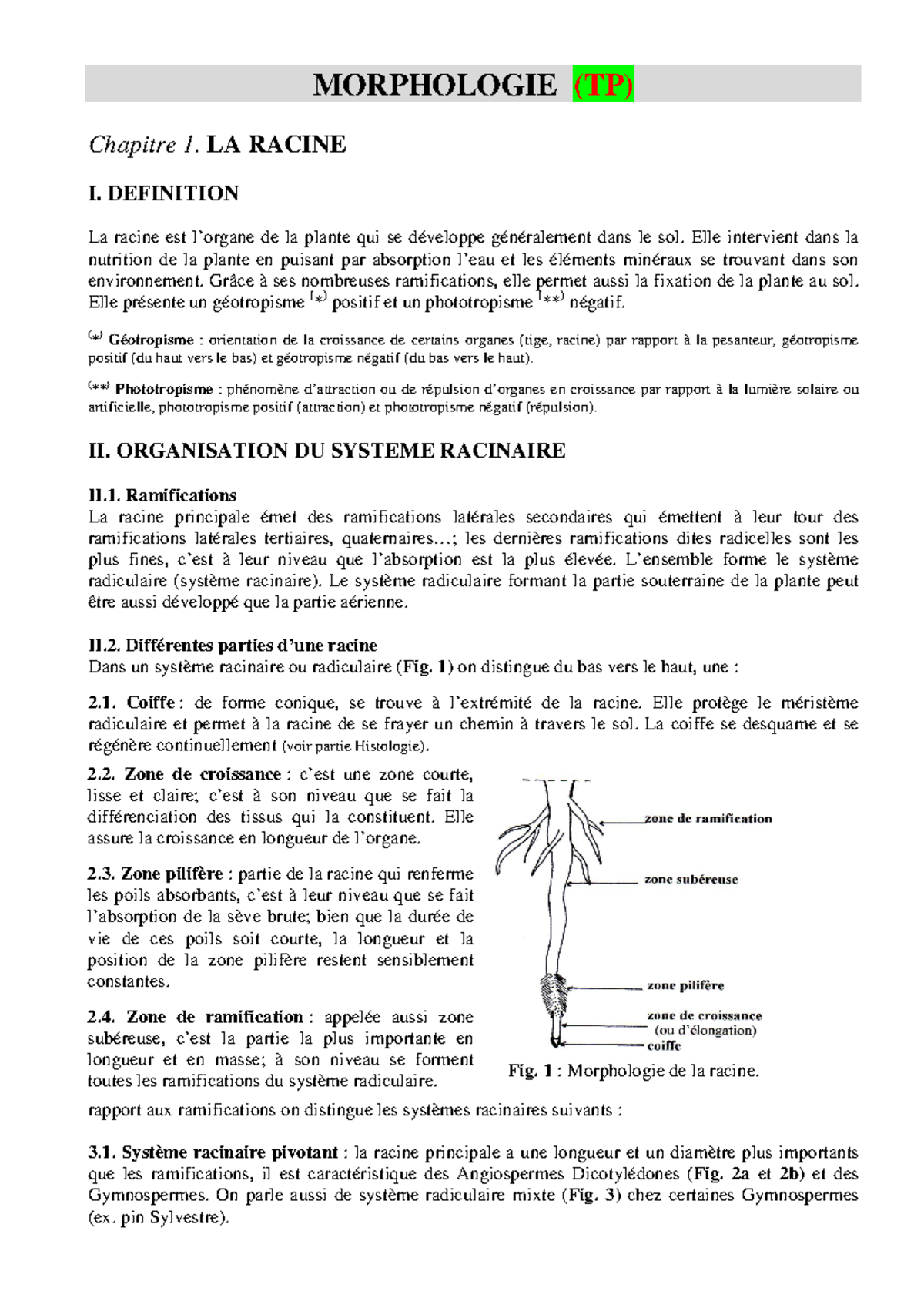 Morphologie Biologie Végétale SNV-L1-2019-2020 - MORPHOLOGIE (TP ...