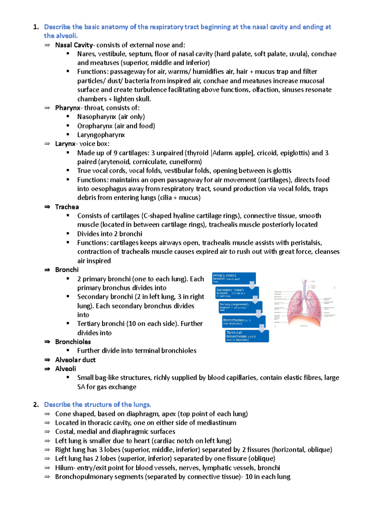 Compendium 4 Notes - . . . . . . - Describe the basic anatomy of the ...