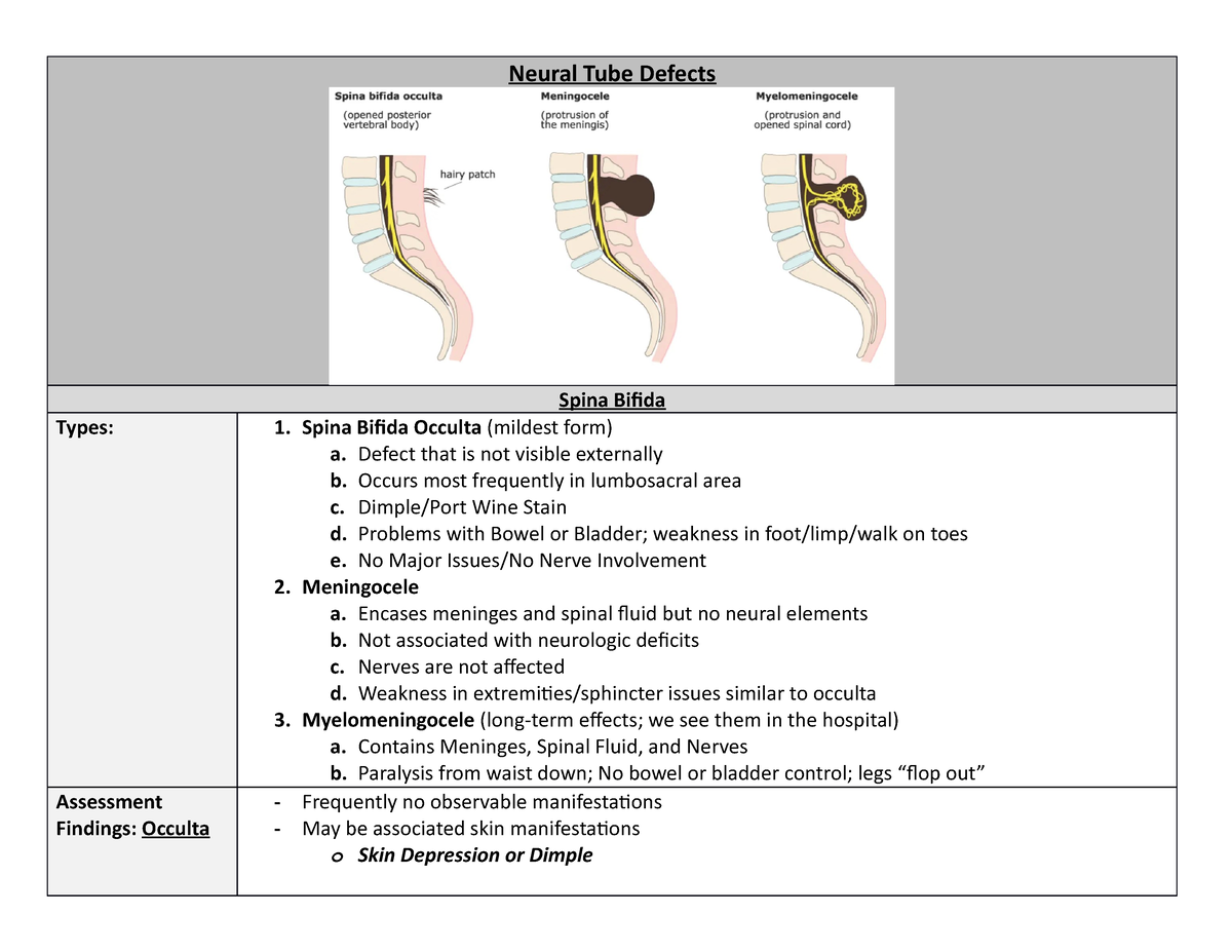 Neural Tube Defects Notes Neural Tube Defects Spina Bifida Types 1