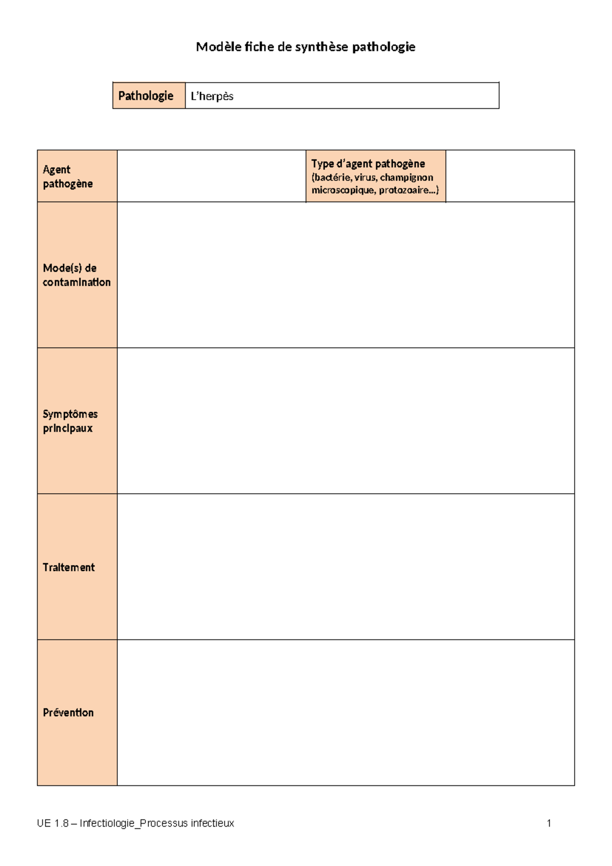 Fiches-patho virale herpès - Morpho physio - Modèle fiche de synthèse ...