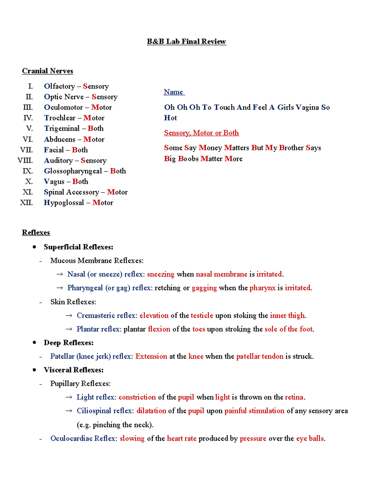 Lab Final Exam Review Notes - Lab Final Review Cranial Nerves Olfactory ...