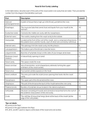 Joints Chart and Labeling - Joints Chart Use the Web to learn about ...