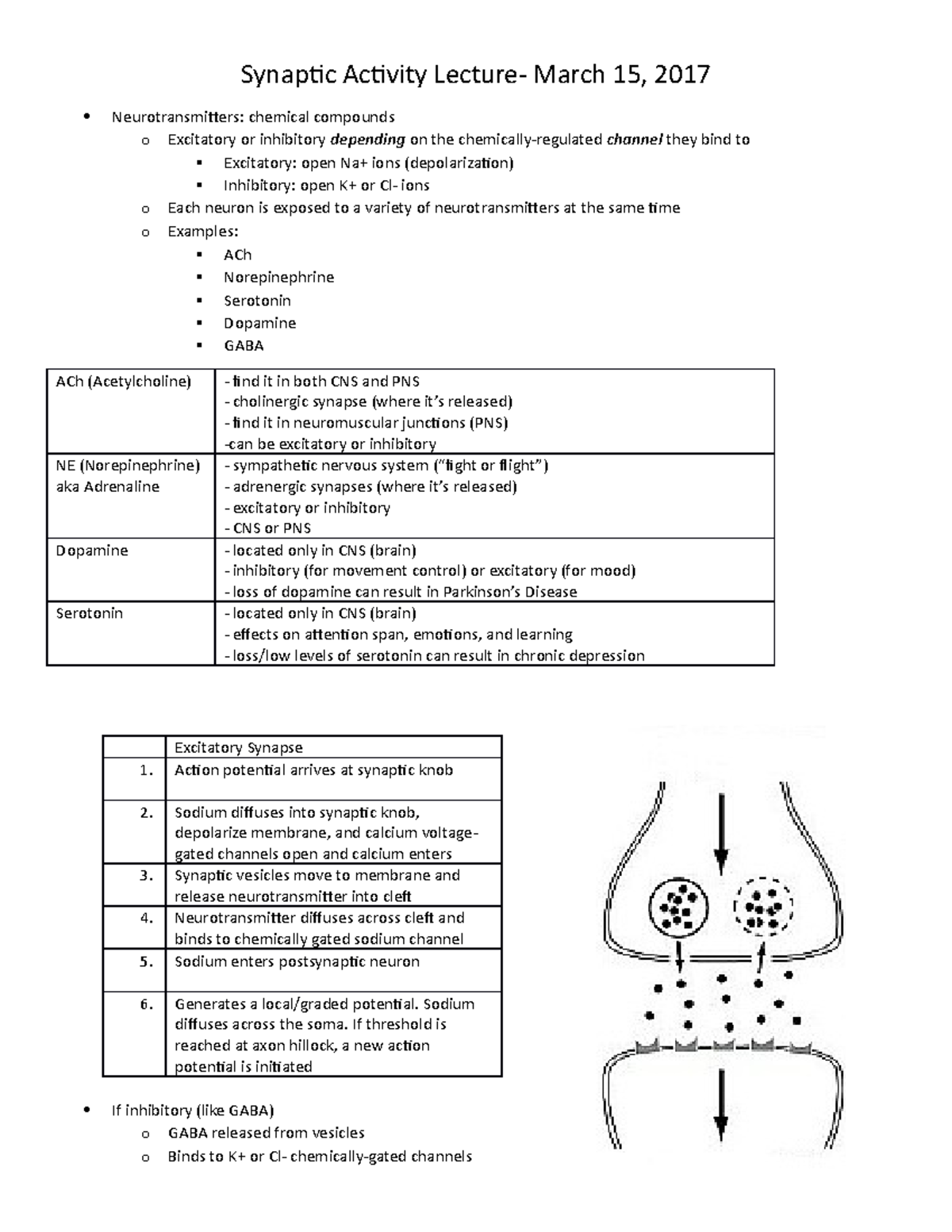 Synapse Lecture March 15th - Synaptic Activity Lecture- March 15, 2017 ...