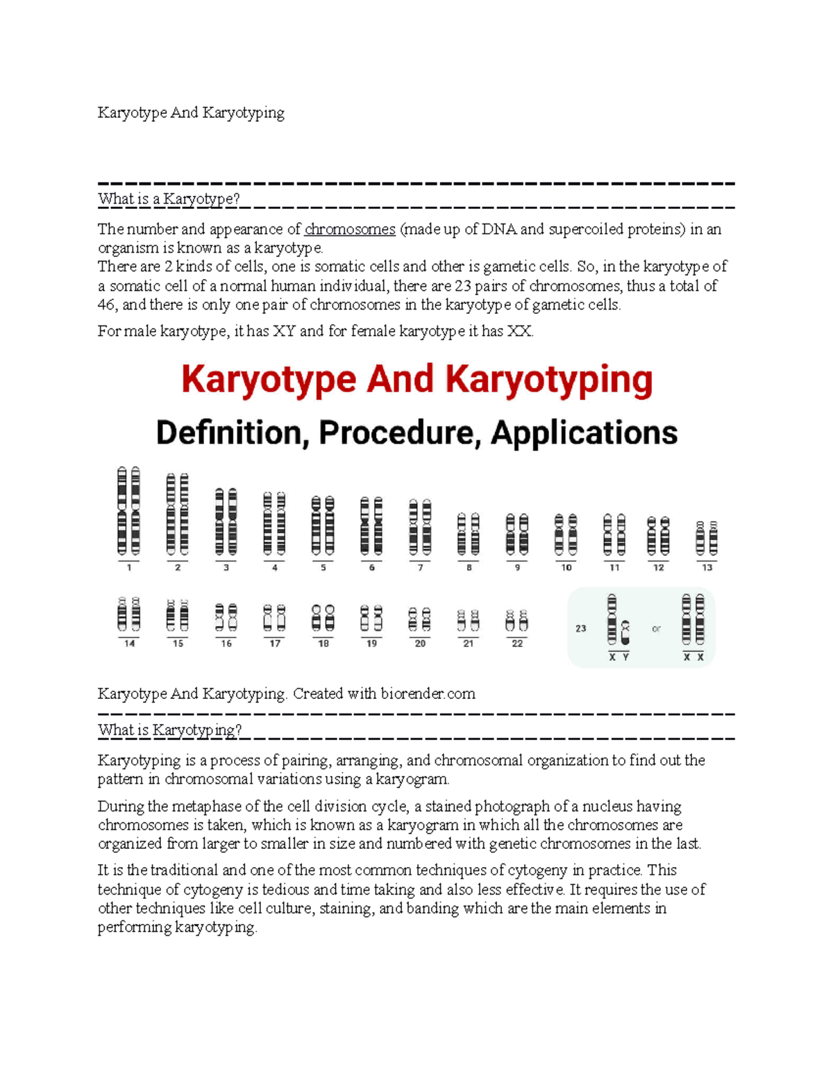 Karyotype And Karyotyping - There Are 2 Kinds Of Cells, One Is Somatic ...