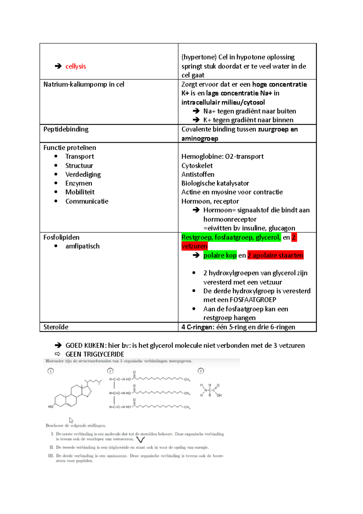 Bio zelf - cellysis (hypertone) Cel in hypotone oplossing springt stuk ...