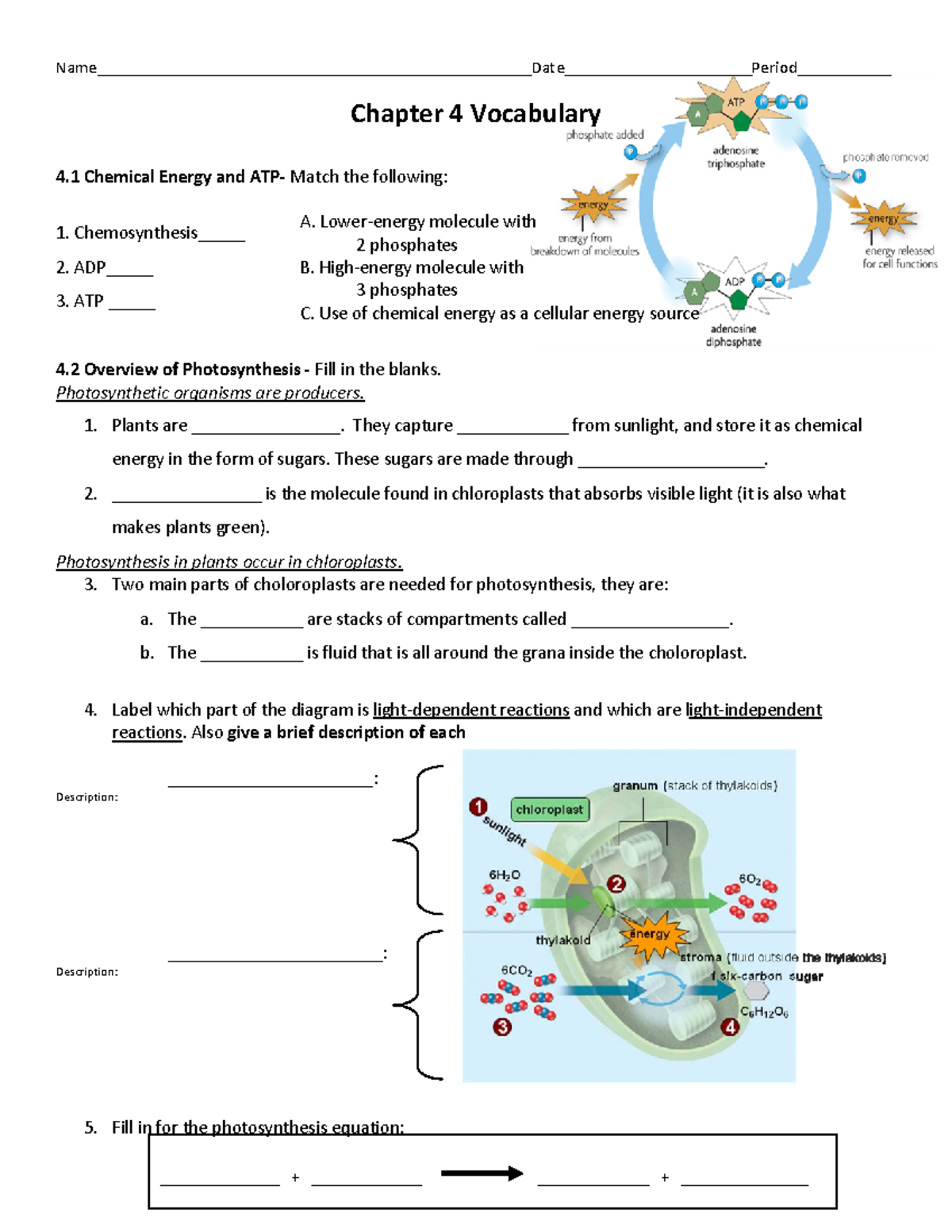 Chapter 4 Vocabulary - worksheet for practice - - Studocu