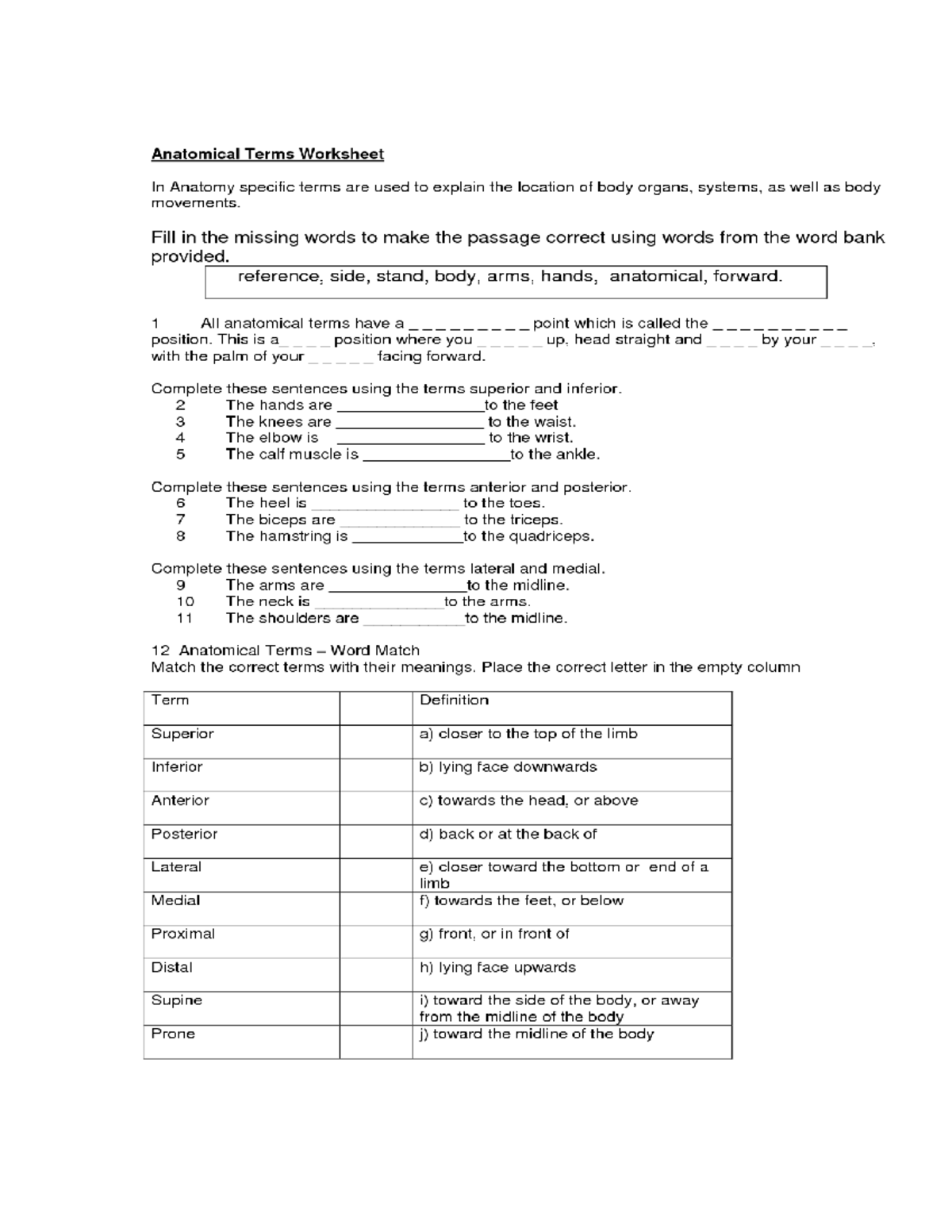 01 Test Review Honors A&p - The Coronal Plane Divides The Body Into The 