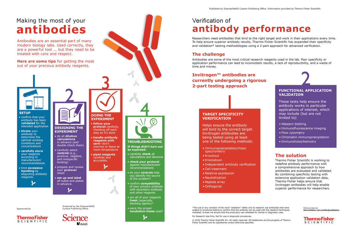 Antibodies bioprobes 78 infographic Making the most of your