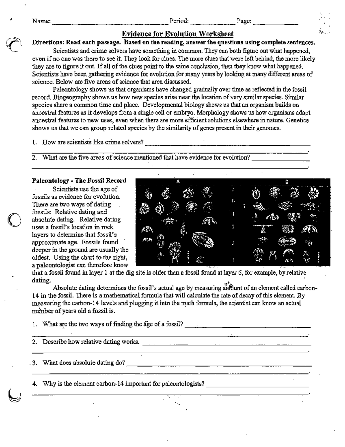 Evidence for Evolution Worksheet Studocu