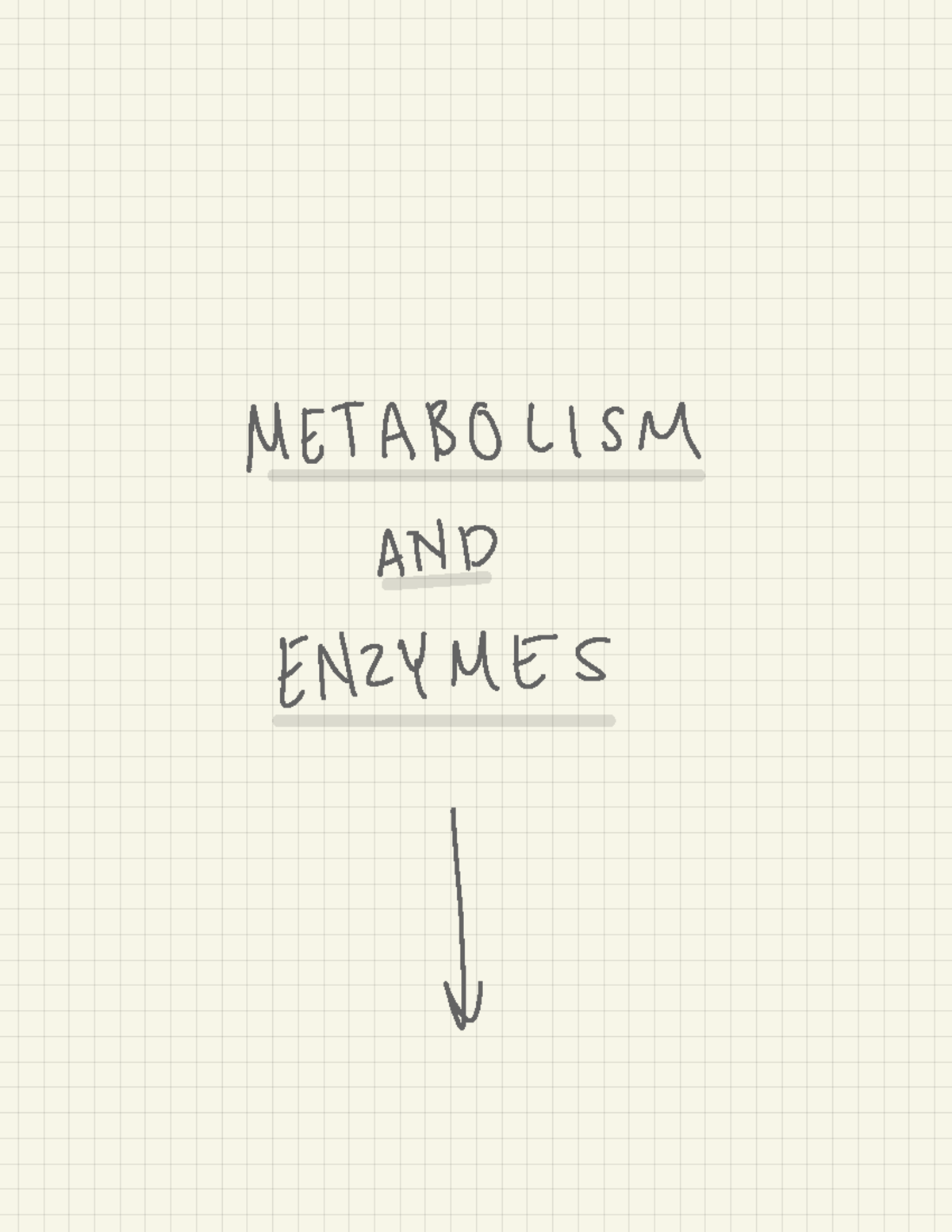 Unit 3 bio test guide - Unit 3 summary. Covers metabolism, enzymes ...
