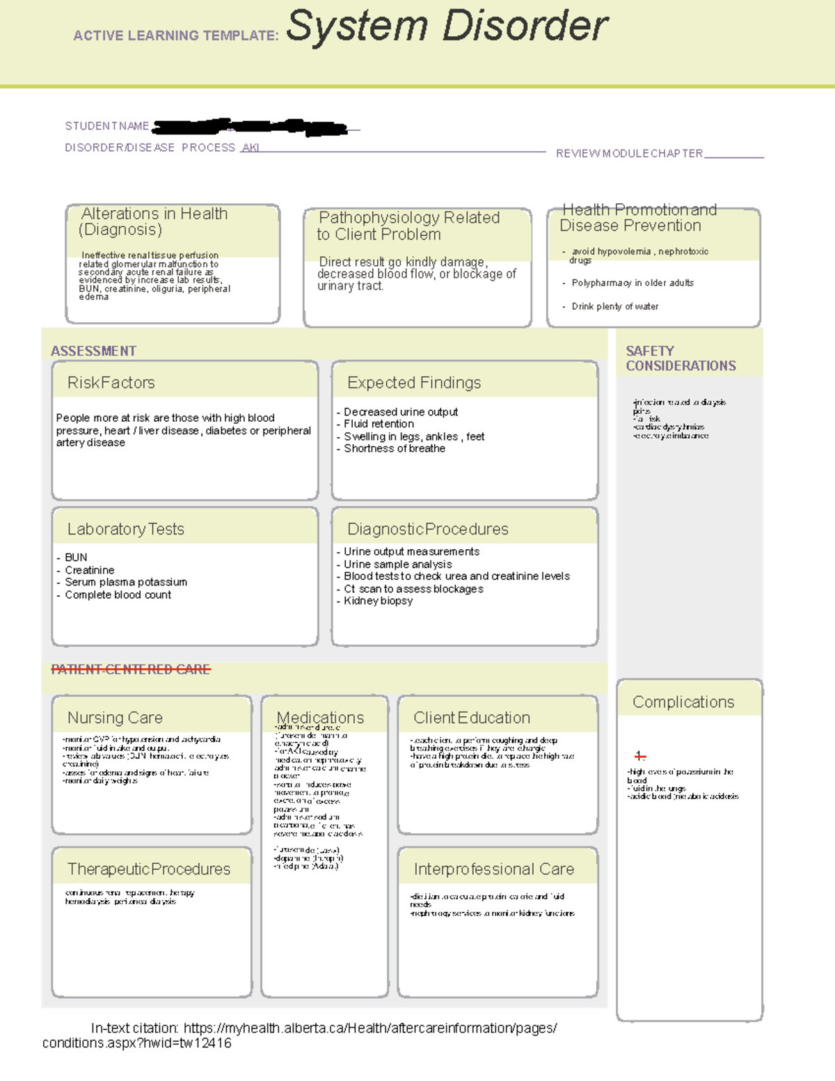 AKIr - Testing Patho Map-Blank 2 - ACTIVE LEARNING TEMPLATE: System ...