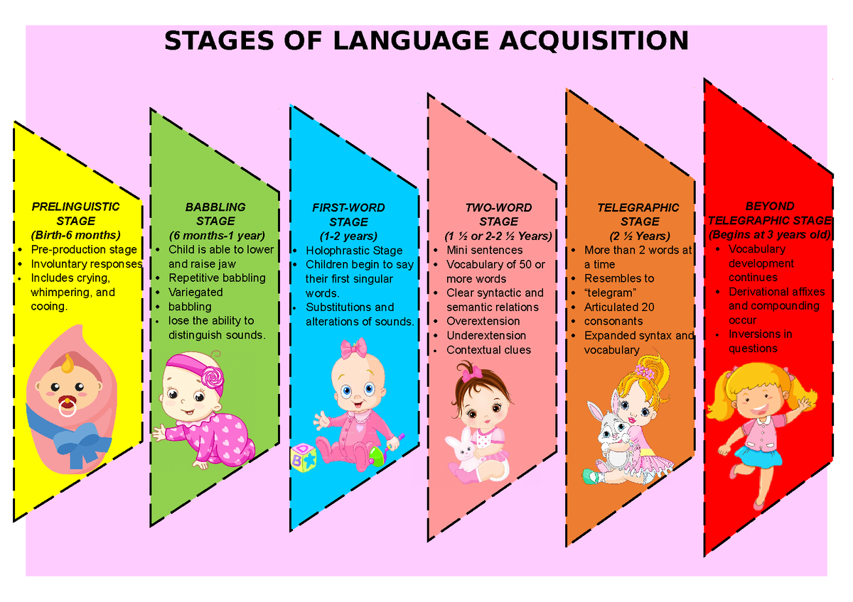 stages of first language acquisition essay