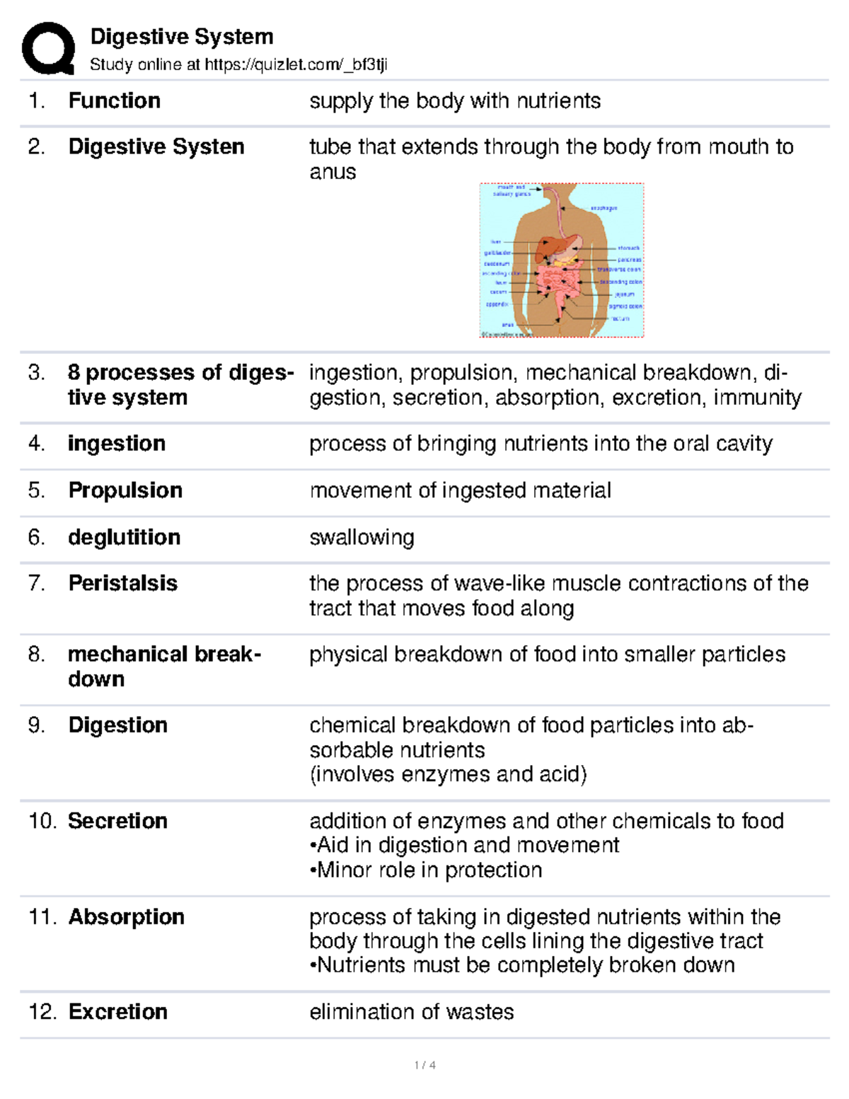 Digestive system Study online at quizlet/_bf3tji Function supply the