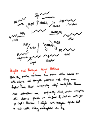 Alkyne formation - CHEM 2510 - Studocu