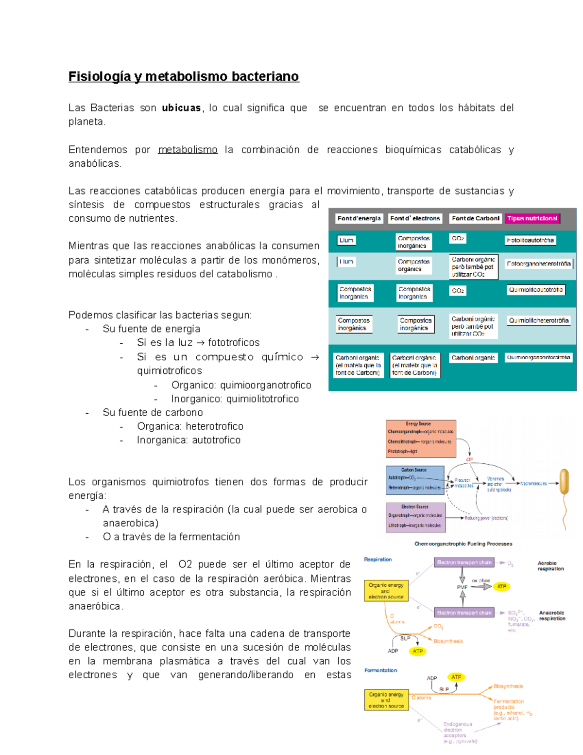 2-Fisiología Y Metabolismo Bacteriano - Fisiología Y Metabolismo ...