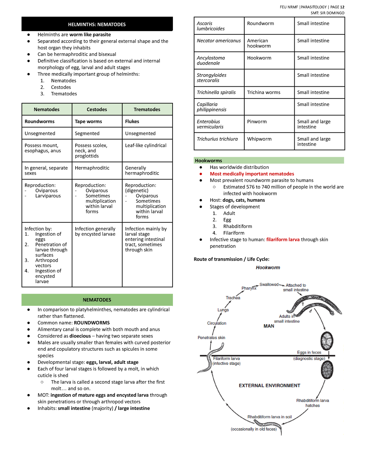 Para By Sir Mark Parasitology Smt Sir Domingo Helminths Nematodes