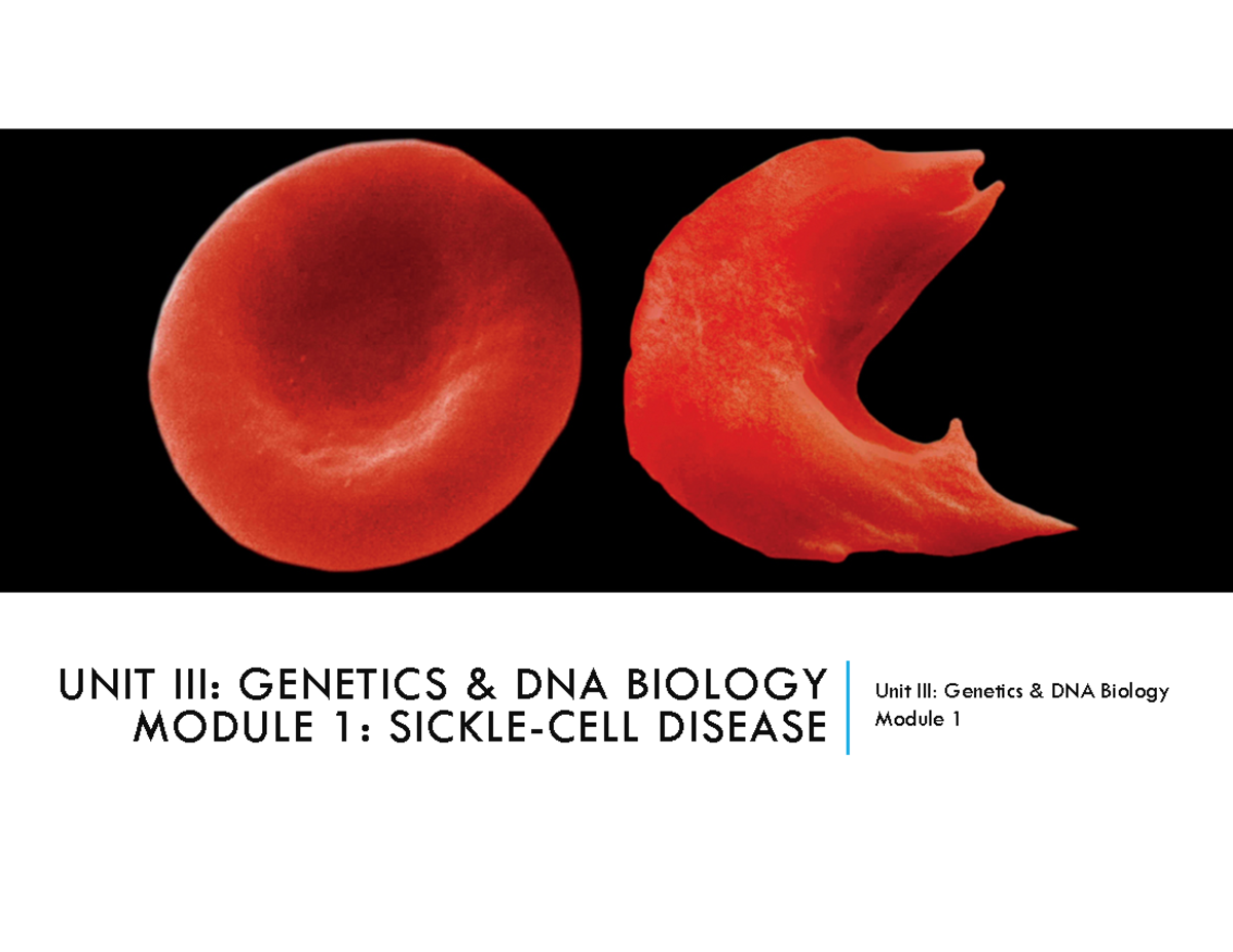 Biology 111 Slides - UNIT III: GENETICS & DNA BIOLOGY MODULE 1: SICKLE ...