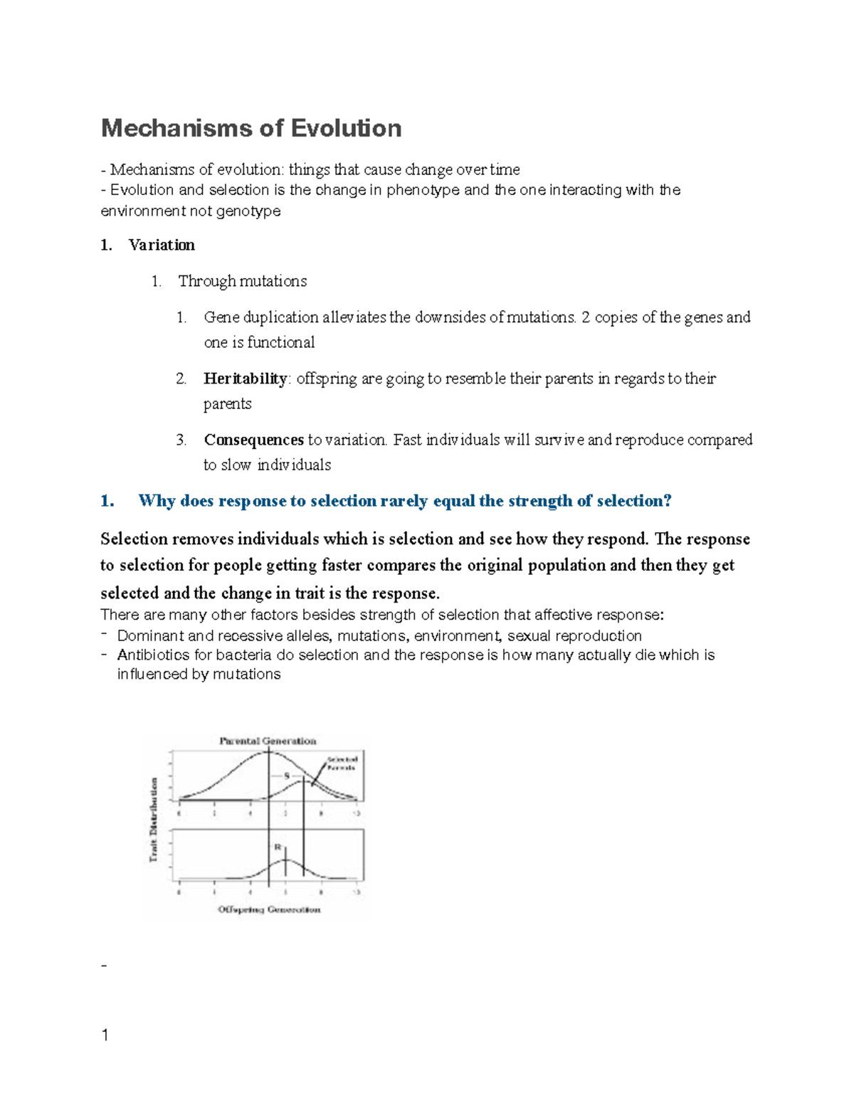 Lecture 3 Mechanisms Of Evolution - Mechanisms Of Evolution Mechanisms ...