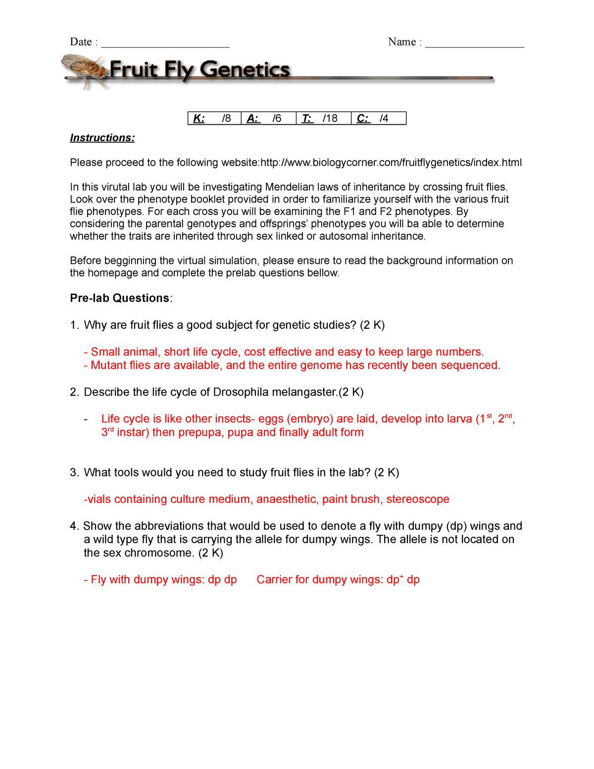 Worksheet Dna Mutation Simulation Answer Key Solved 3 Please Read The