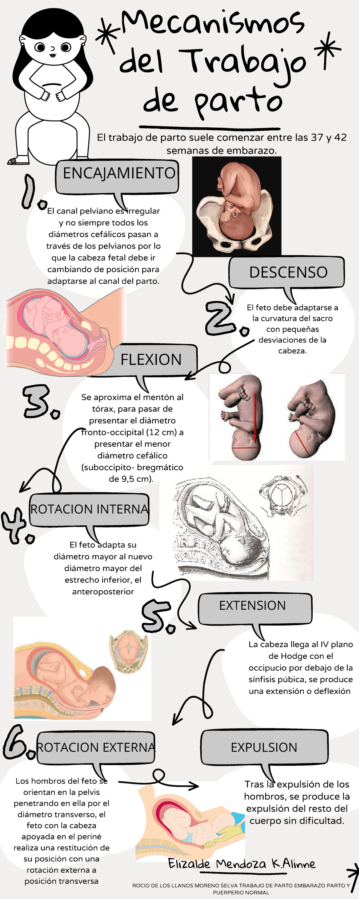 Mecanismos Del Trabajo De Parto Mecanismos Del Trabajo De Parto Se Aproxima El Ment N Al T Rax