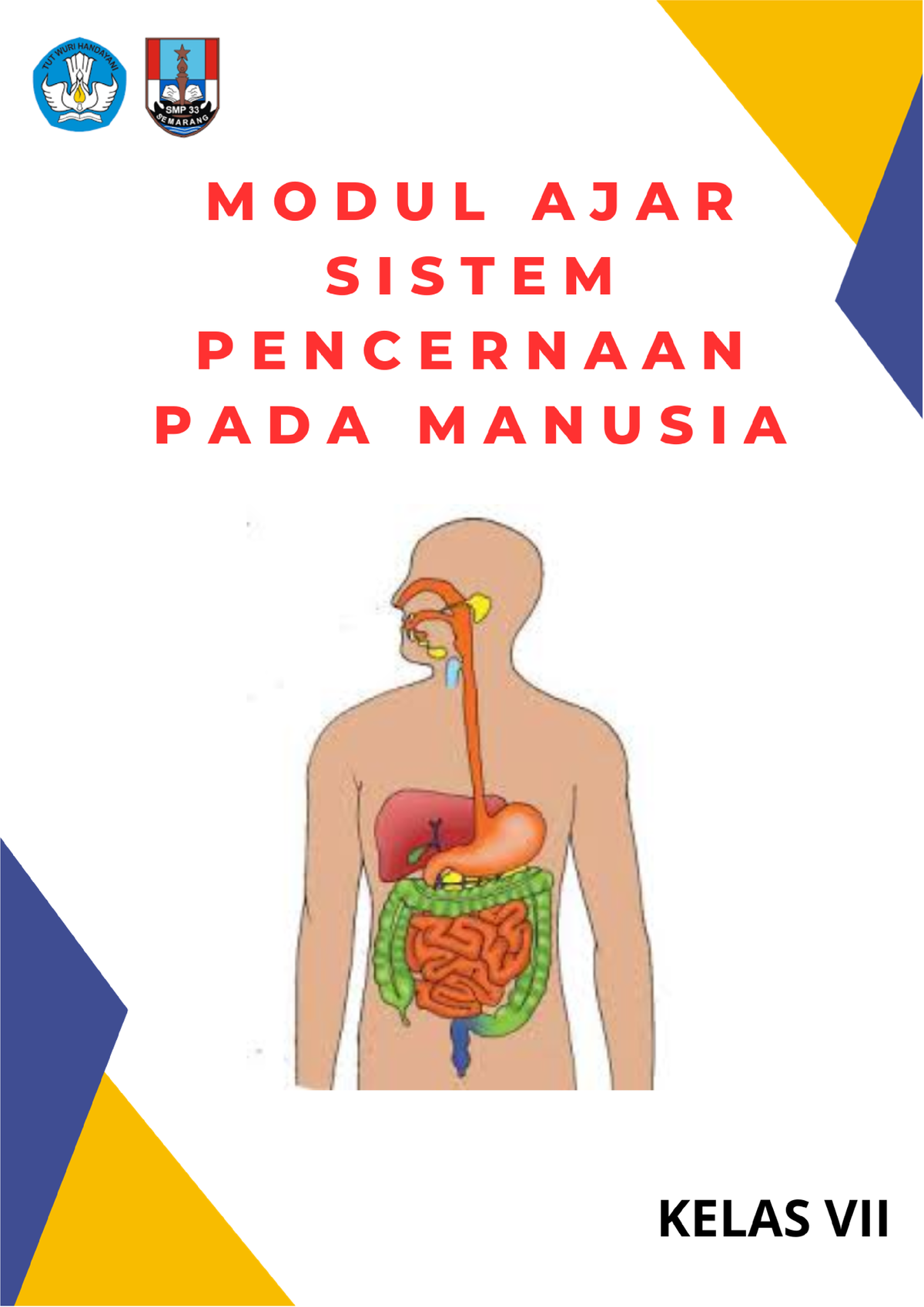 Modul AJAR Sistem Pencernaan PADA Manusia 2 - MODUL AJAR 2 SISTEM ...