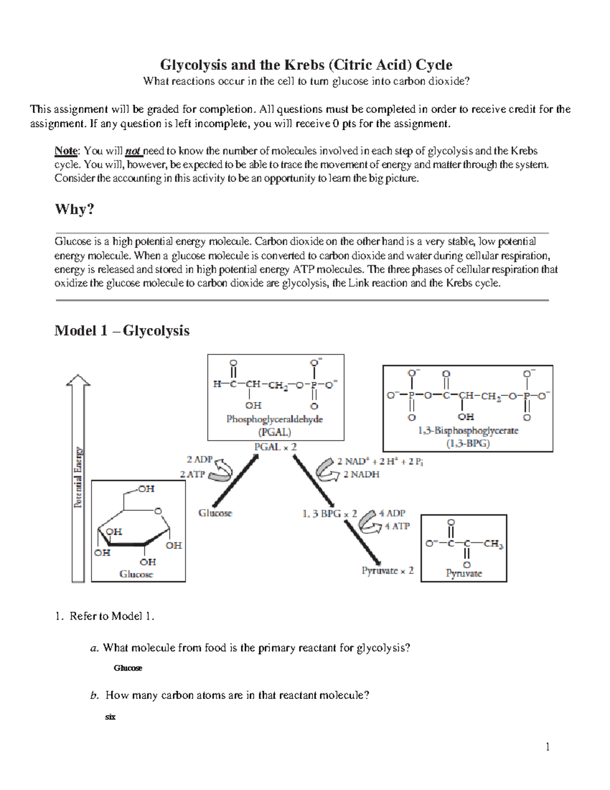 BIO181 Glycolysis and the Citric Acid Cycle Worksheet Glycolysis and