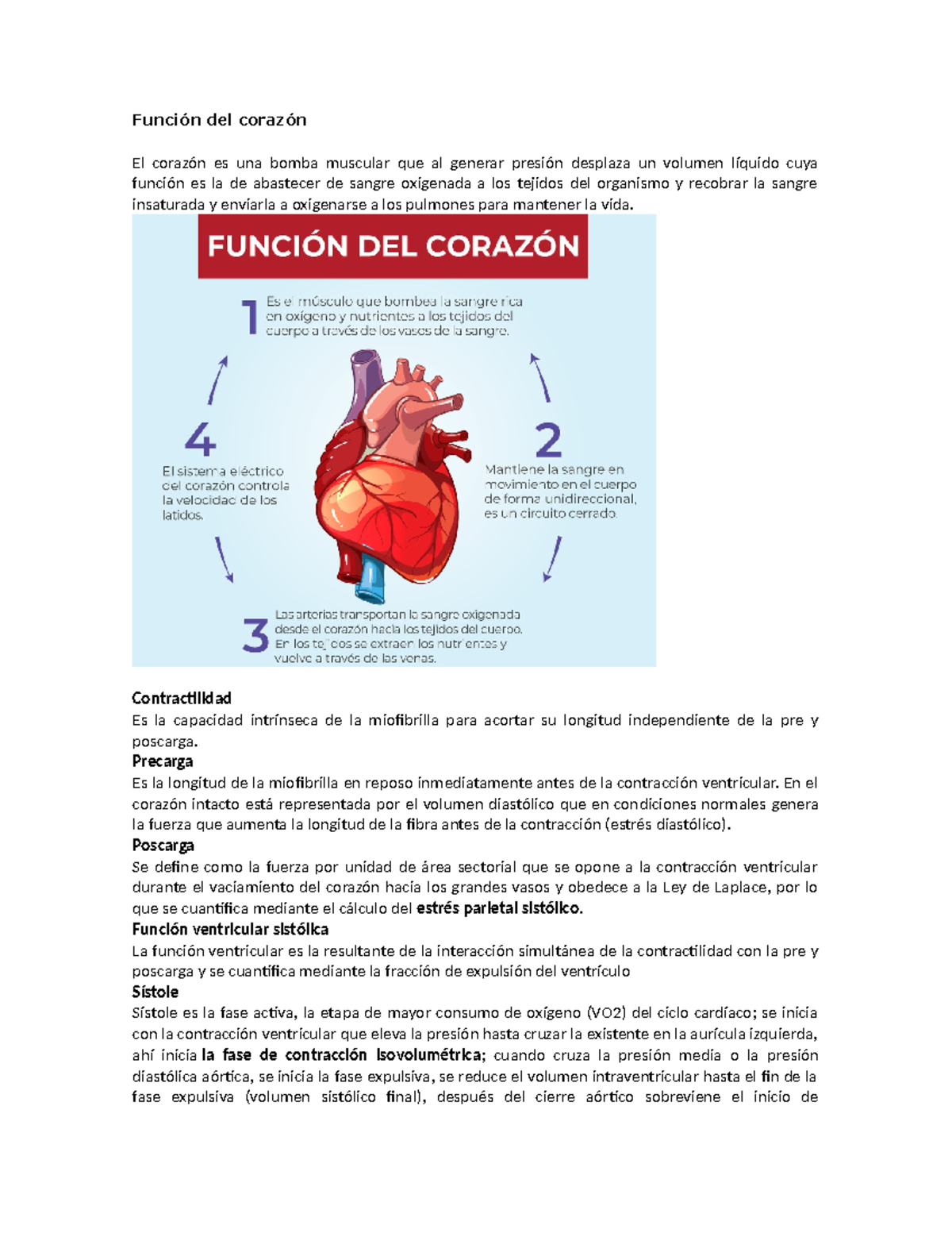 Función del corazón - Función del corazón El corazón es una bomba ...