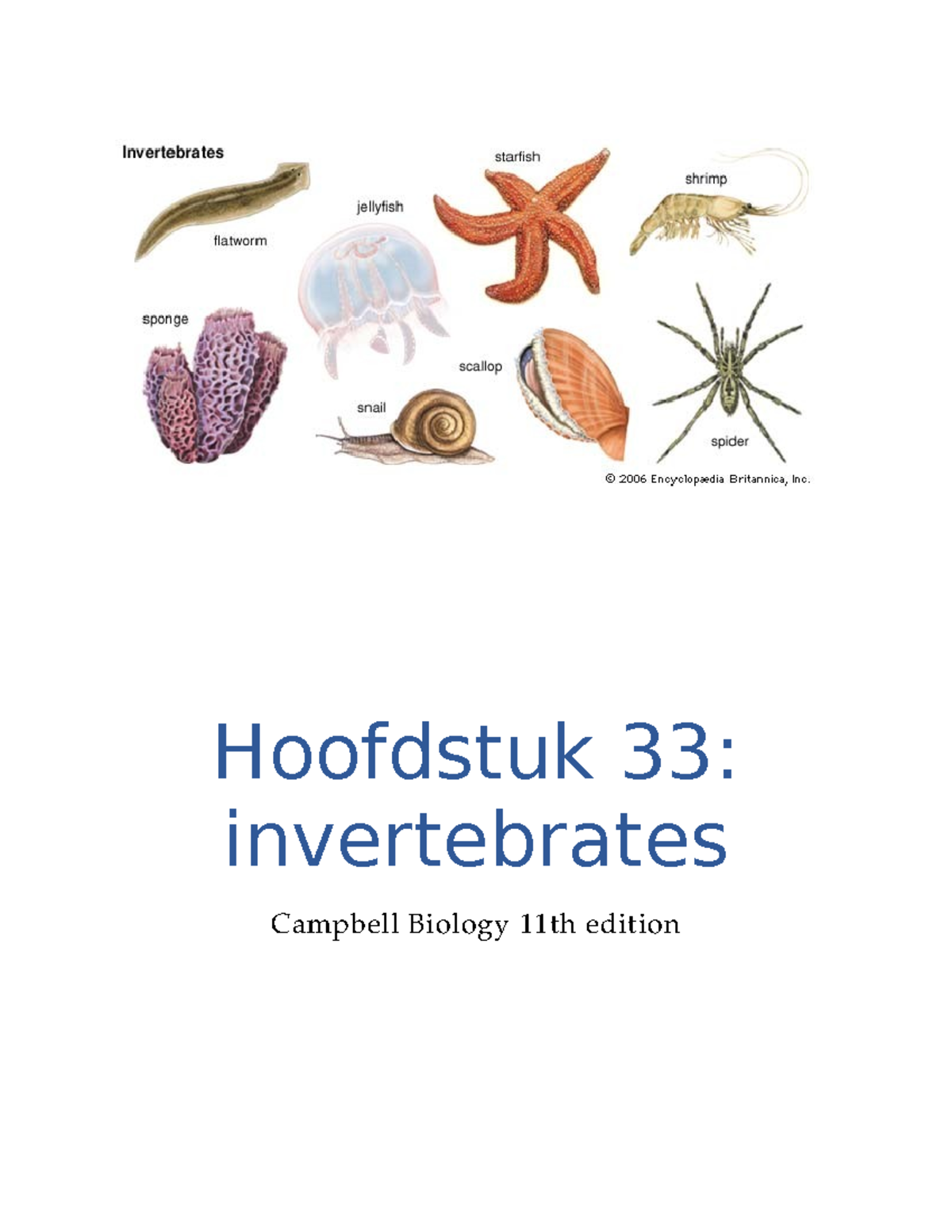 Hoofdstuk 33 Evertebraten - Hoofdstuk 33: Invertebrates Campbell ...