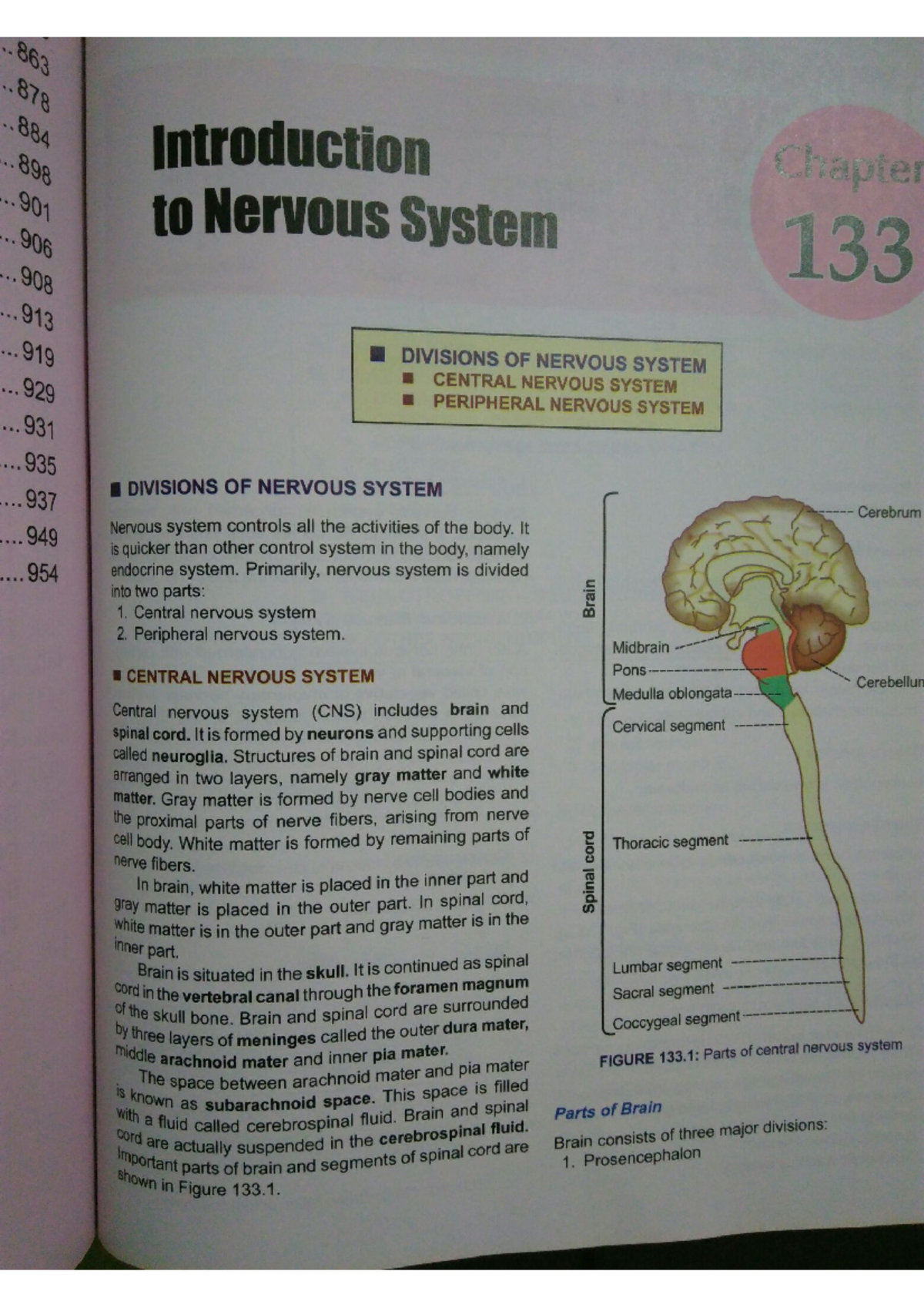 Introduction to nervous system 1 - Cardiac care technology - Studocu